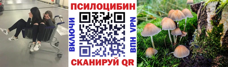 закладка  MEGA сайт  Псилоцибиновые грибы ЛСД  Приморск 